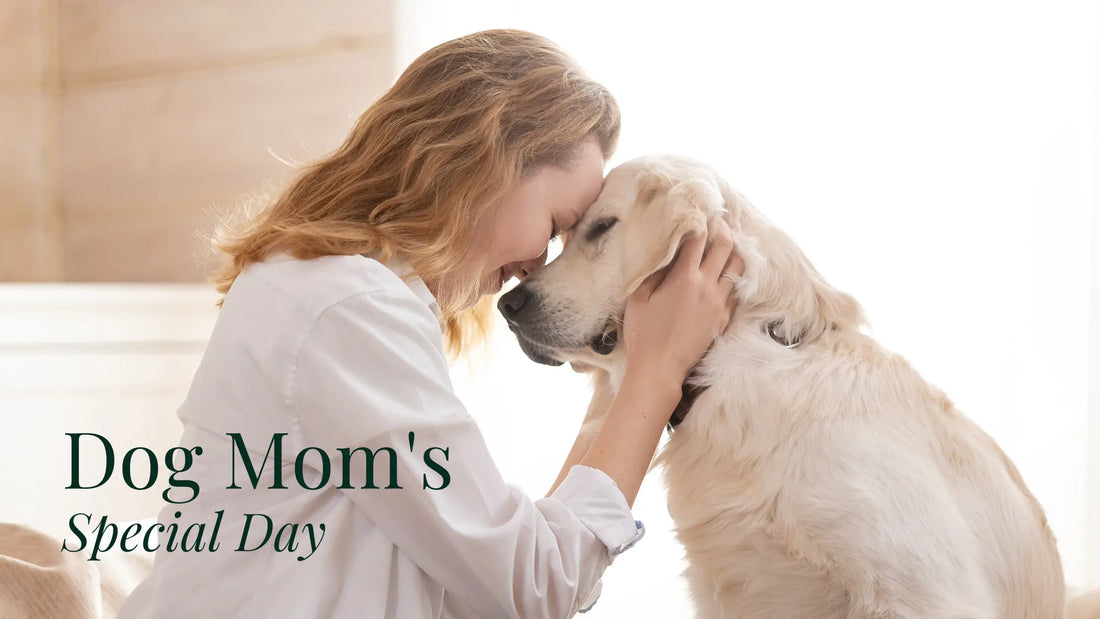 national dog mom day
